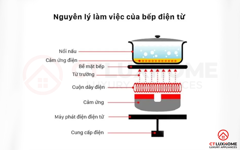 BẾP TỪ SỬ DỤNG LOẠI NỒI NÀO? HƯỚNG DẪN CHỌN MUA NỒI BẾP 1